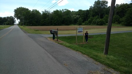 IMG_20170617_131047872